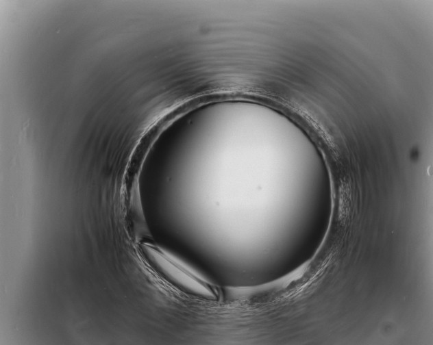 X0000098180876200805011033