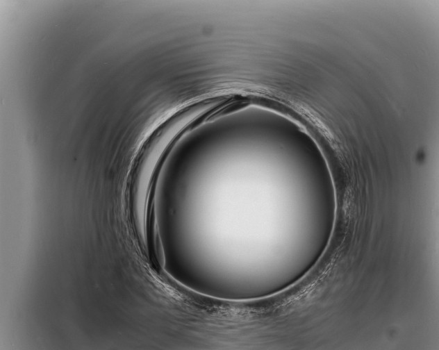 X0000098180877200805011033