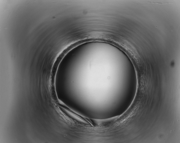 X0000098180880200805011033