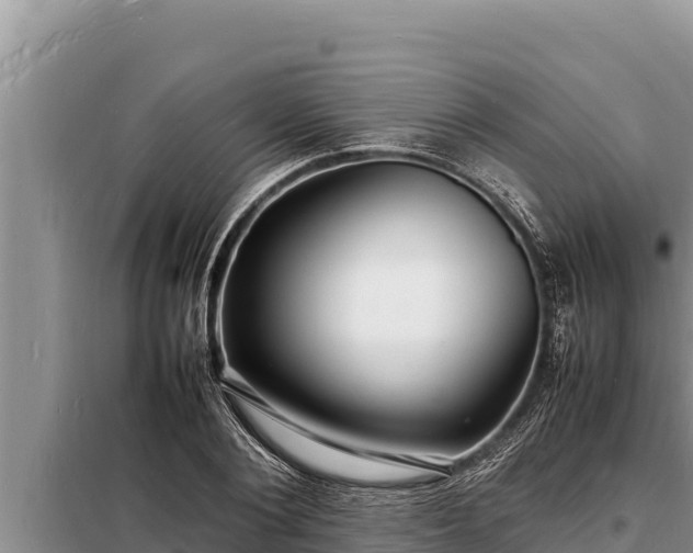 X0000098180884200805011033