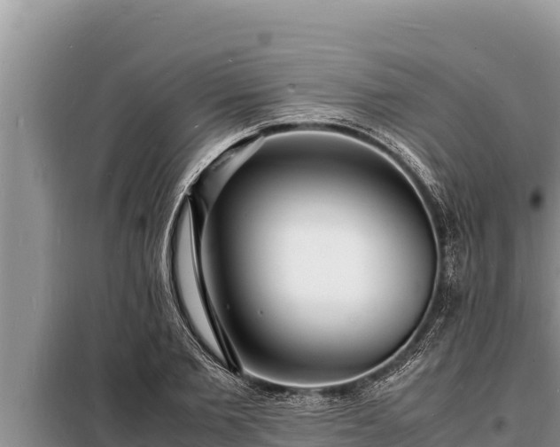 X0000098180885200805011033