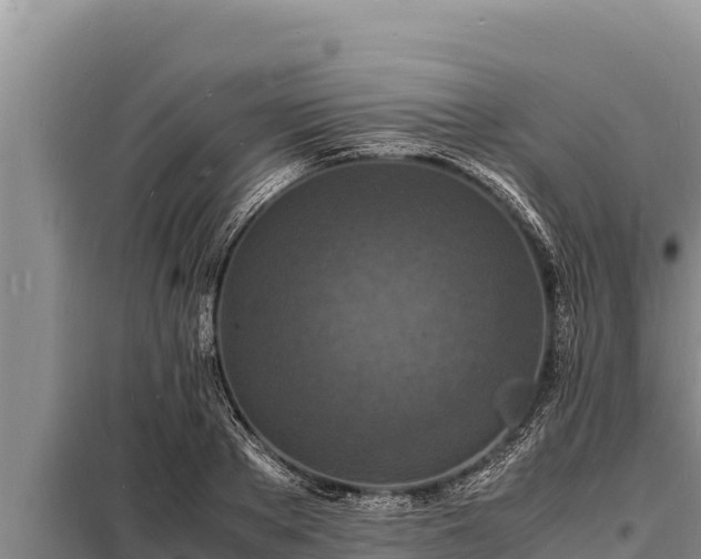 X0000098180889200805011033