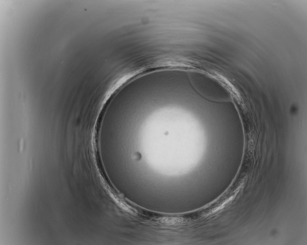 X0000098180893200805011033