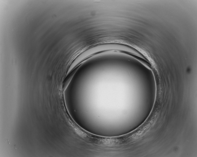 X0000098180897200805011033