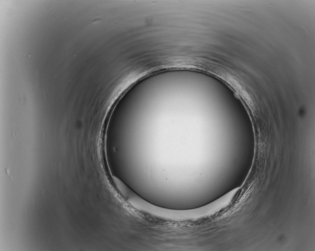 X0000098180901200805011033