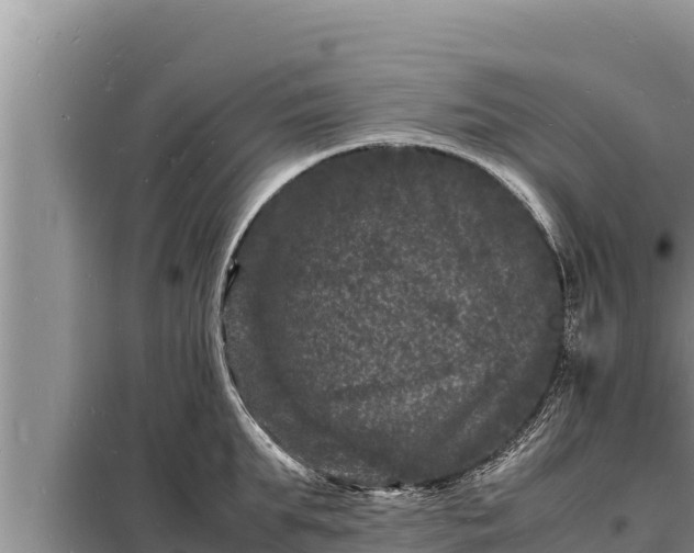 X0000098180903200805011033