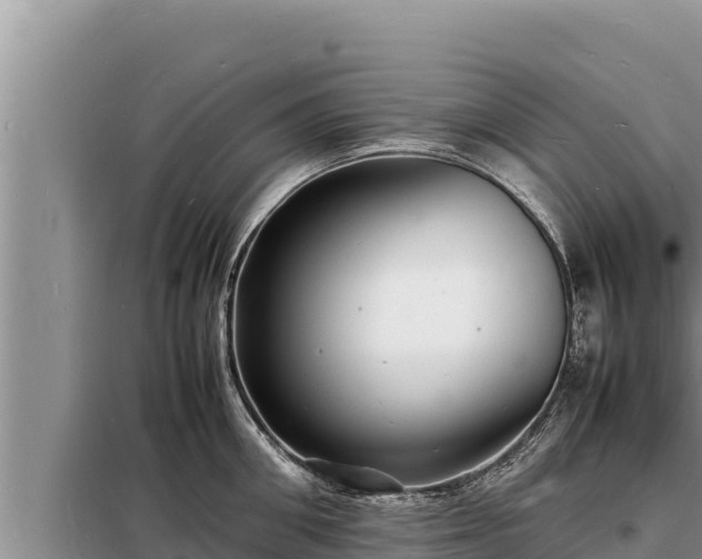 X0000098180906200805011033