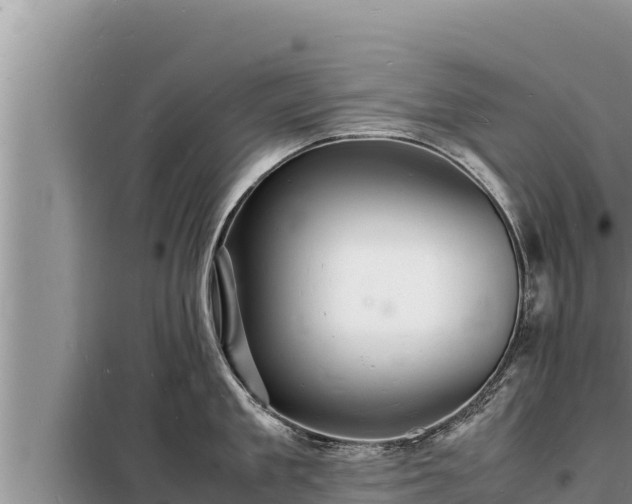 X0000098180909200805011033