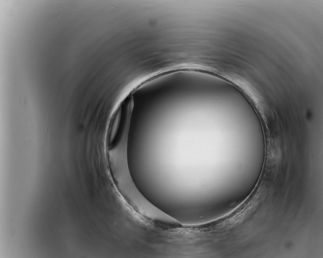 X0000098180910200805011033