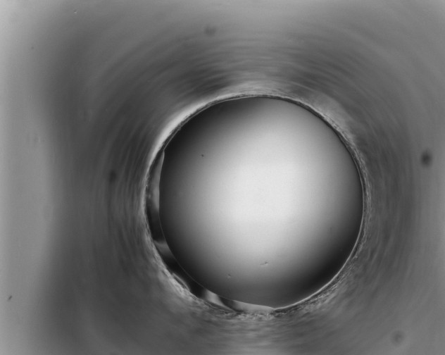 X0000098180912200805011033