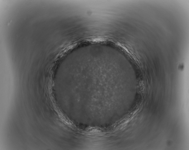 X0000098180913200805011032