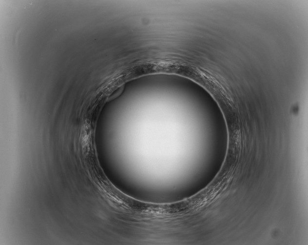 X0000098180914200805011032