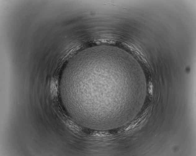 X0000098180915200805011032