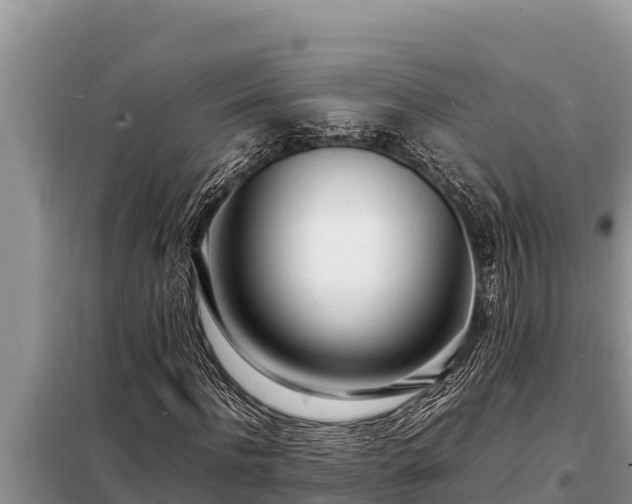 X0000098180916200805011032