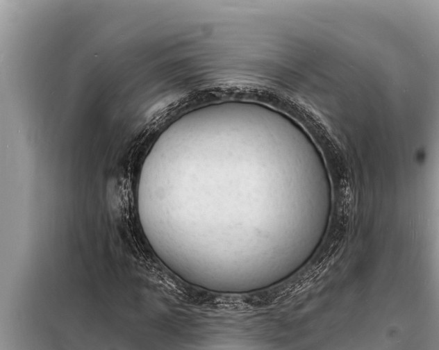 X0000098180918200805011032