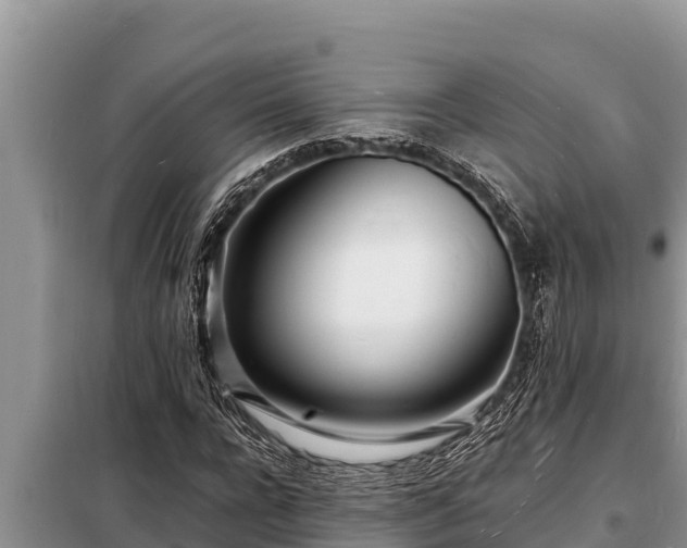 X0000098180920200805011032