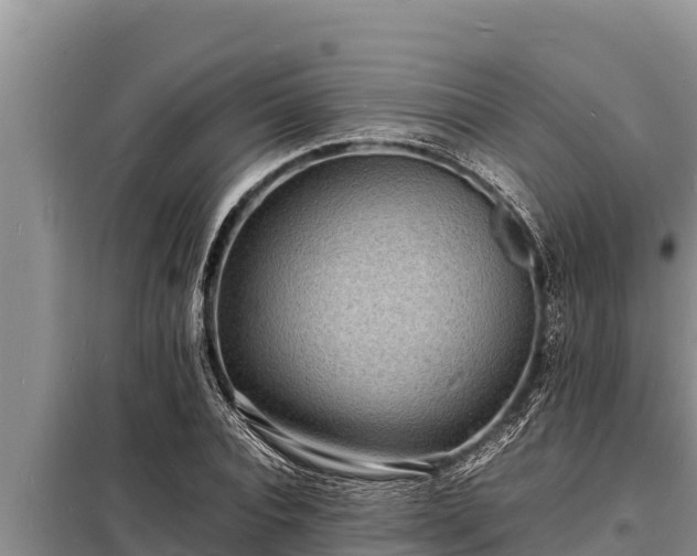 X0000098180928200805011032