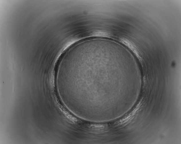 X0000098180931200805011033