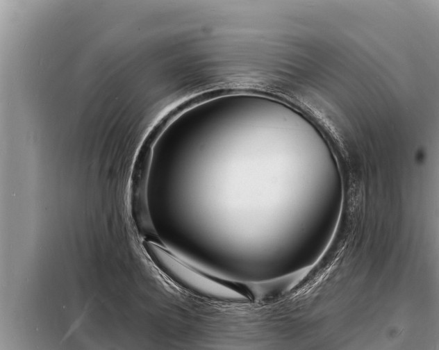 X0000098180932200805011033