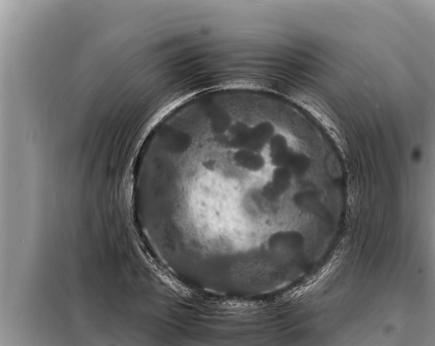 X0000098180933200805011033