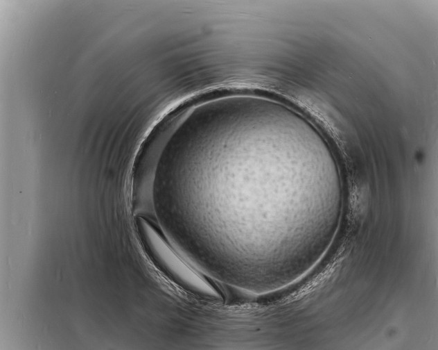 X0000098180934200805011033