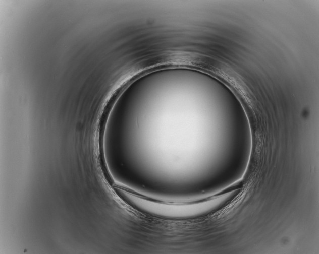 X0000098180939200805011033