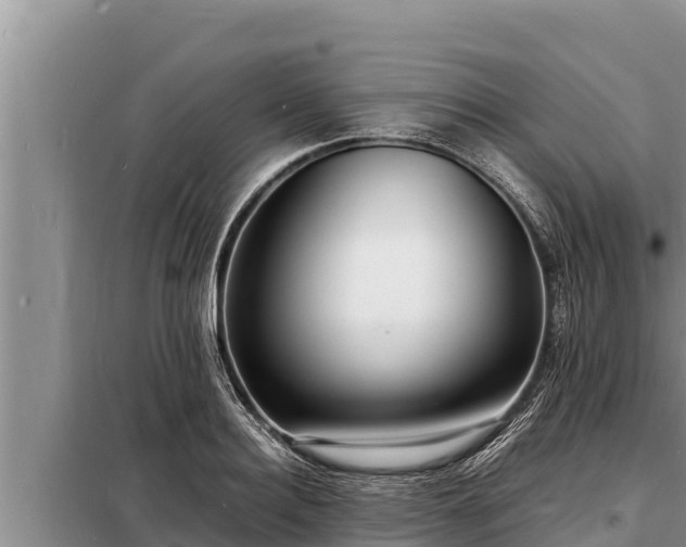 X0000098180940200805011033