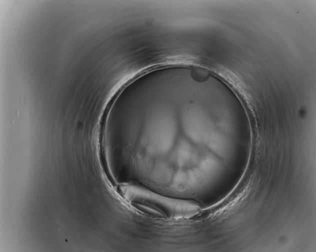 X0000098180941200805011033