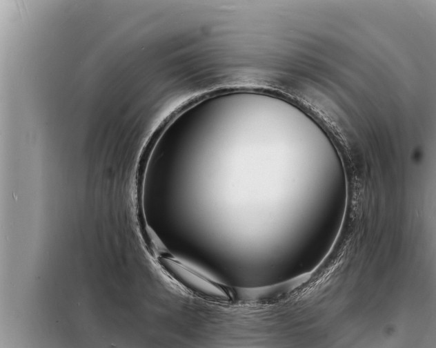 X0000098180942200805011033