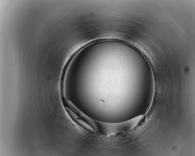 X0000098180943200805011033