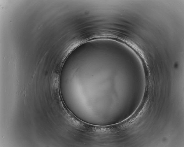 X0000098180945200805011033