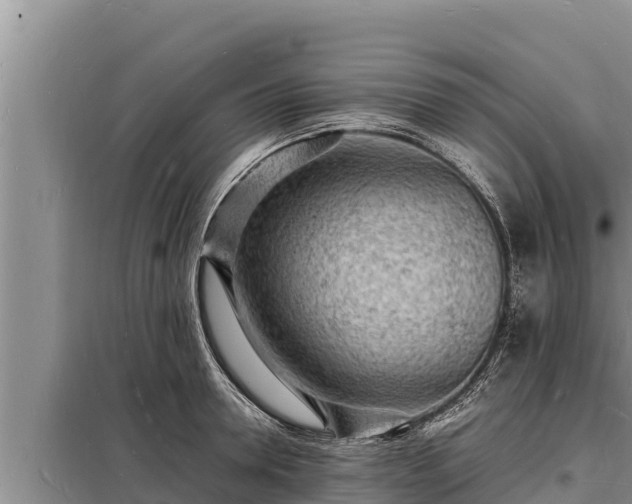 X0000098180946200805011033