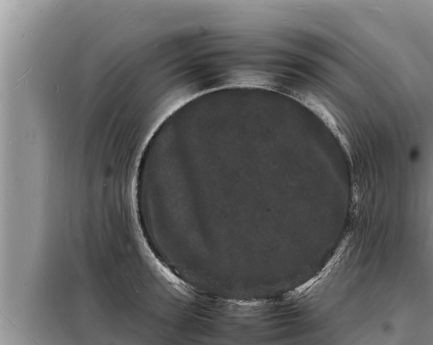 X0000098180947200805011033