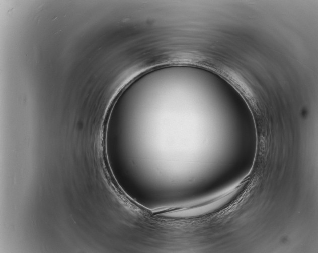 X0000098180948200805011033