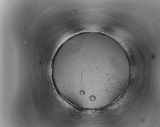 X0000098180950200805011033