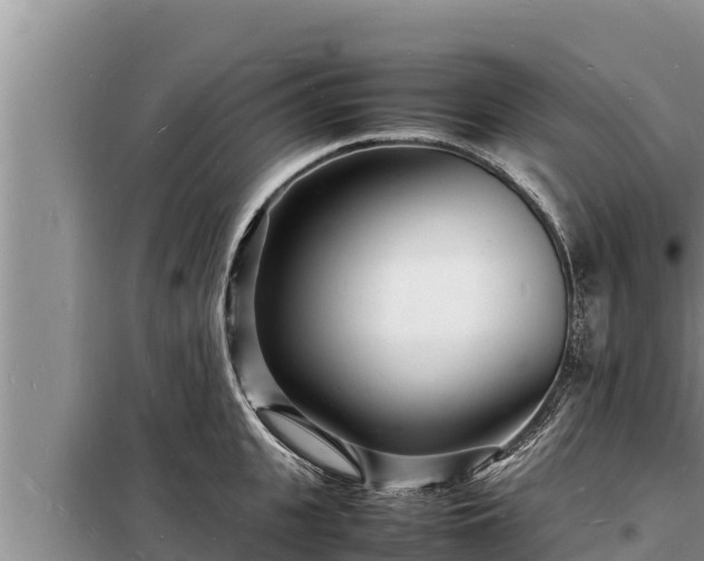 X0000098180951200805011033