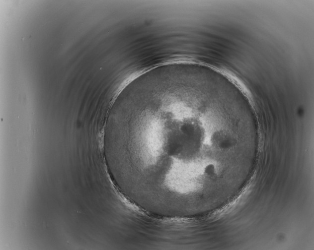 X0000098180953200805011033