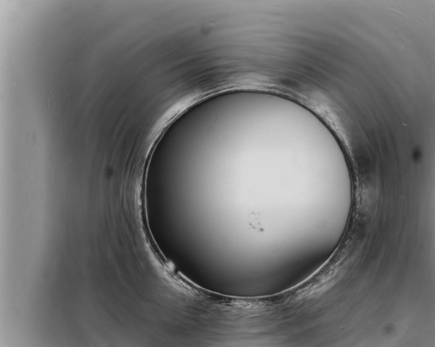 X0000098180954200805011033