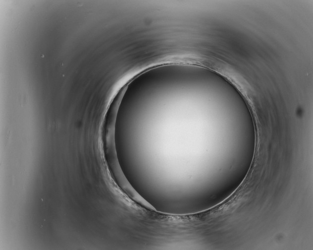 X0000098180960200805011033