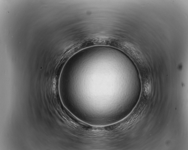 X0000098180964200805011032