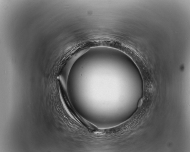 X0000098180965200805011032