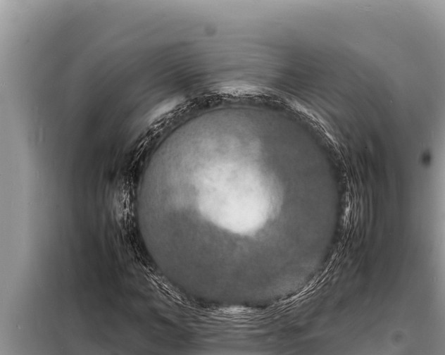 X0000098180966200805011032