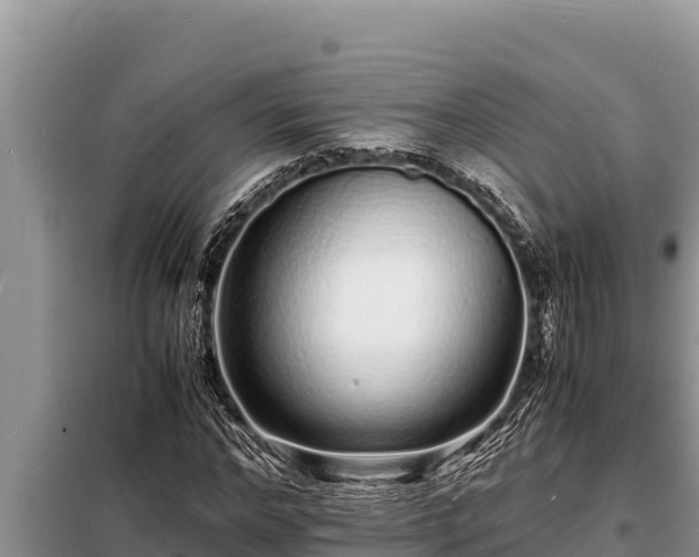 X0000098180968200805011032