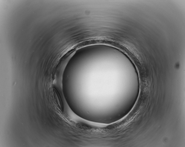 X0000098180969200805011032