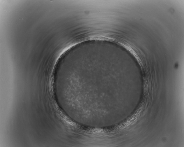 X0000098180971200805011032