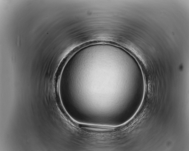 X0000098180972200805011032