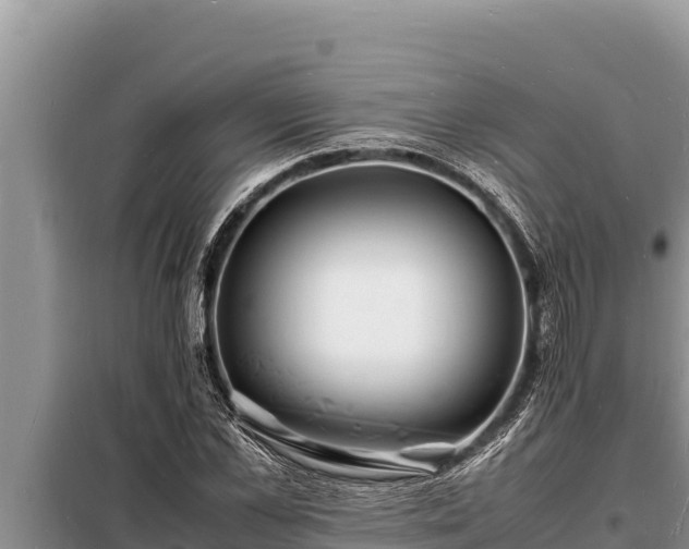 X0000098180973200805011032