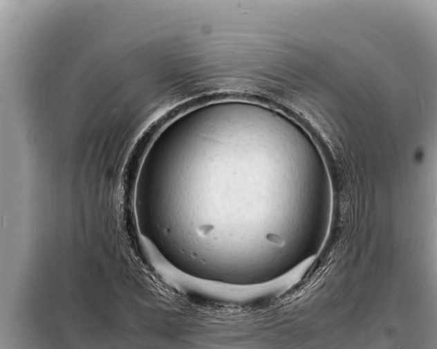 X0000098180975200805011032