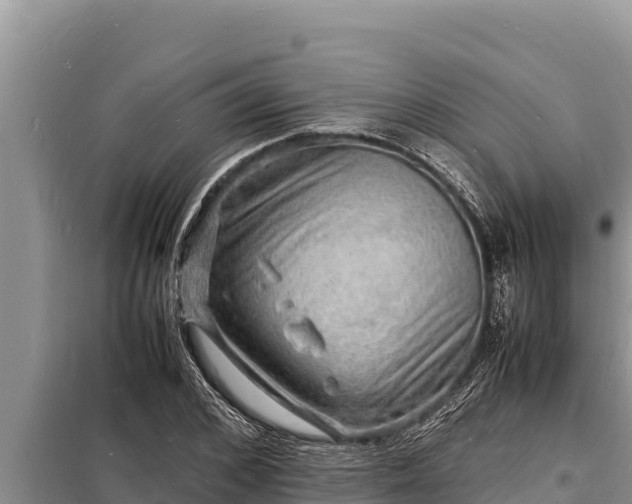 X0000098180976200805011032