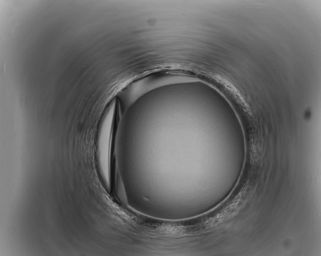 X0000098180977200805011032